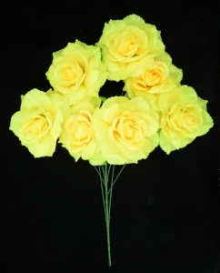 Yellow Open Rose Bush x7  (Lot of 12) SALE ITEM